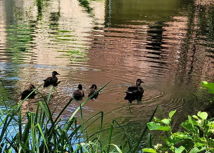 Σαλέ La Grange Du Heron