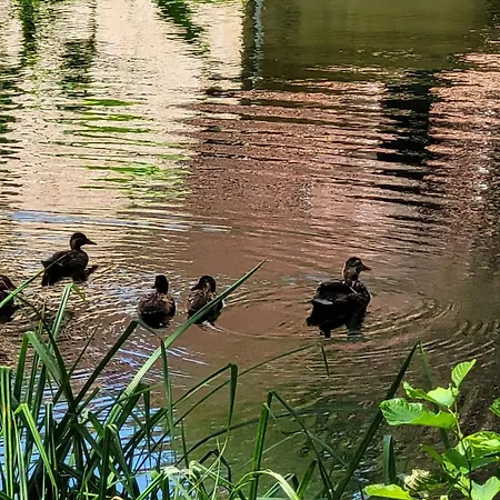 Chalet La Grange Du Heron